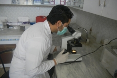 DSCN8249